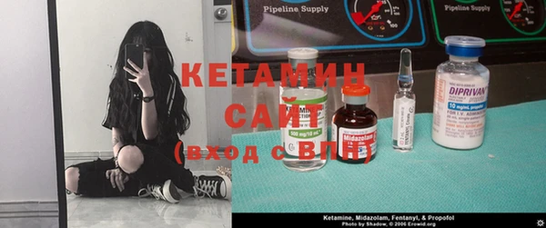 твердый Бородино
