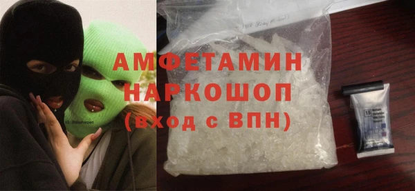 твердый Бородино
