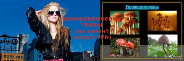 твердый Бородино