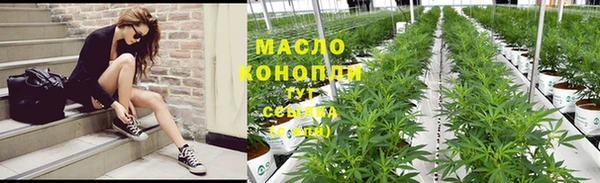 твердый Бородино