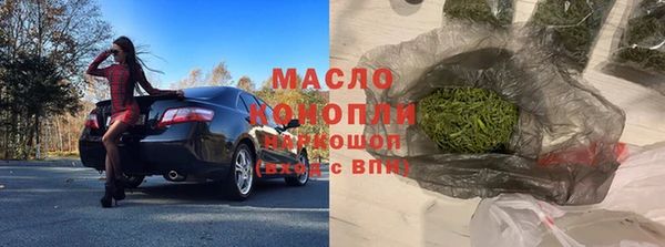 твердый Бородино