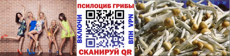 Галлюциногенные грибы MAGIC MUSHROOMS  Семёнов 